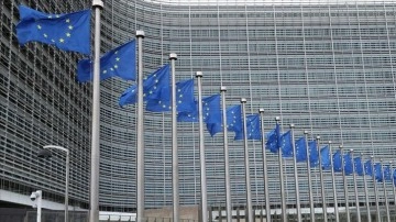 AB Komisyonu: Fransa'nın uğradığı muamele kabul edilemez