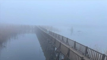 Efteni Gölü Kuş Cenneti'nde sis can alıcı oluyor