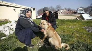 Hataylı Genco ailesini deprem gecesi köpekleri "Çilek" tehlikesiz alana çıkardı