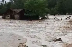 Kastamonu’da şiddetli yağış sonrası bir köy su altında kaldı