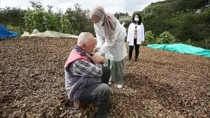 'Kovid-19 savaşçıları' aşı hizmetini fındık bahçesinde vatandaşların ayağına götürüyor