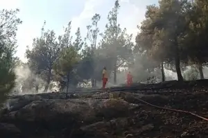 Kozan'daki Hatıra Ormanı'nda yangın
