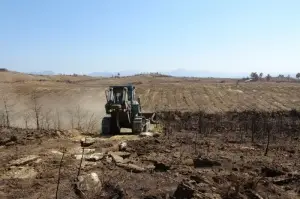 Manavgat’ta yanan ormanlık alanlar iş makineleri tarafından dikime hazırlanıyor