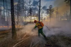 Sibirya'da orman yangınları devam ediyor