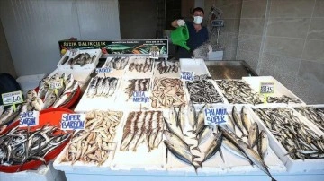 Trabzonlu balıkçılar "fiyatların düşmesi için" deniz suyunun soğumasını bekliyor