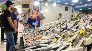 'Vira Bismillah' diyen balıkçıların avladığı balıklar tezgahları süsledi